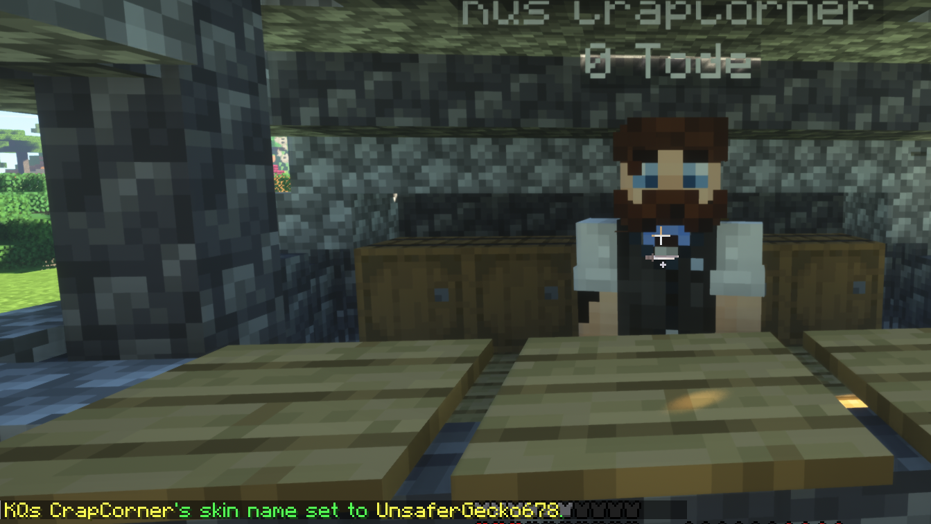 NPC Skin geändert